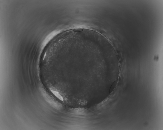X0000116120104201001040959