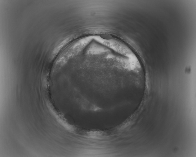 X0000116120105201001040959