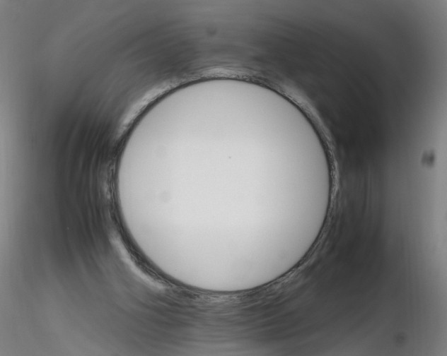 X0000116120106201001040958