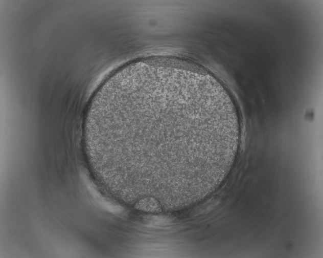 X0000116120107201001040958