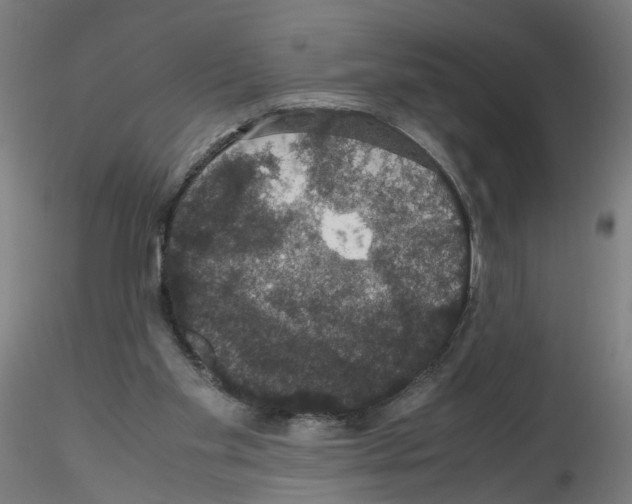 X0000116120109201001040958