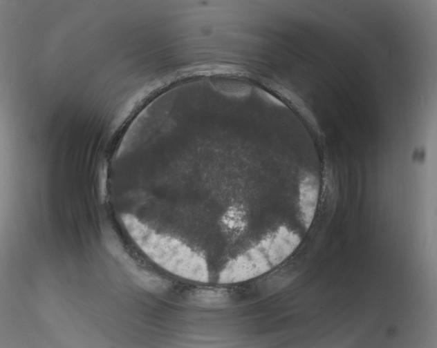 X0000116120110201001040958