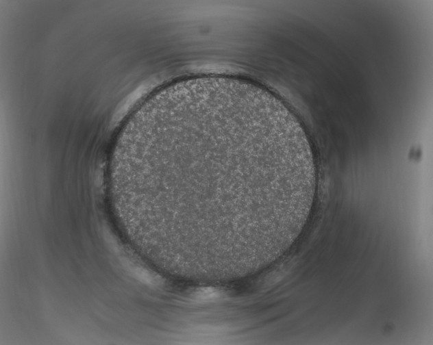 X0000116120111201001040958