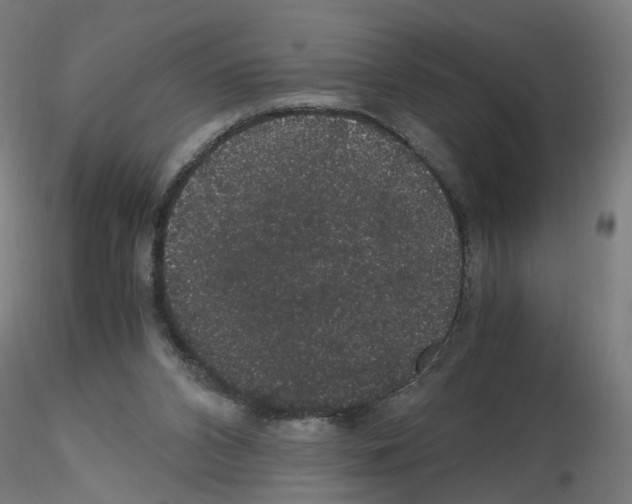 X0000116120112201001040958