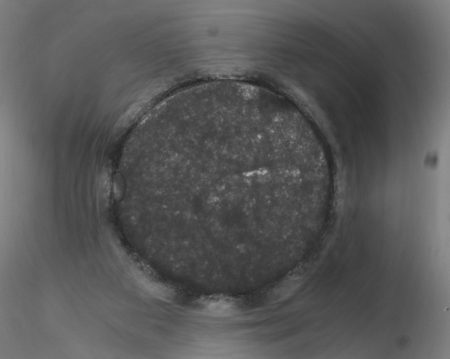 X0000116120113201001040958