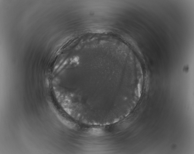 X0000116120114201001040958