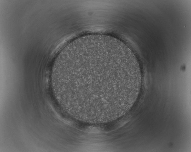 X0000116120115201001040958