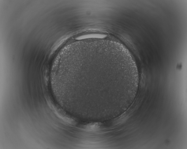 X0000116120116201001040958