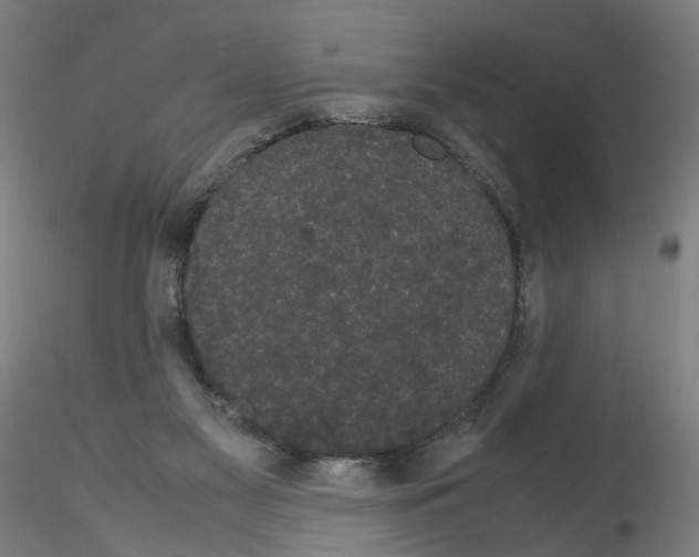 X0000116120117201001040958