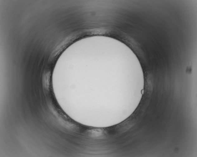 X0000116120118201001040958