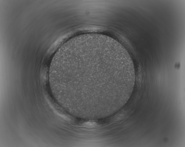 X0000116120119201001040958