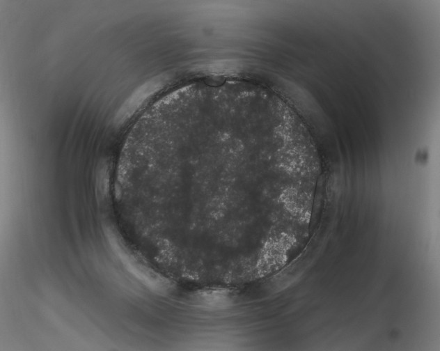 X0000116120120201001040958
