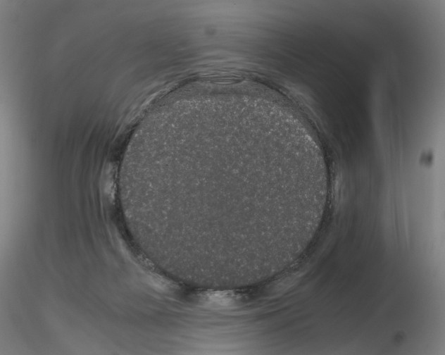 X0000116120121201001040958