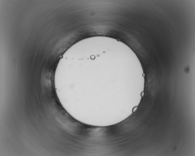 X0000116120122201001040958