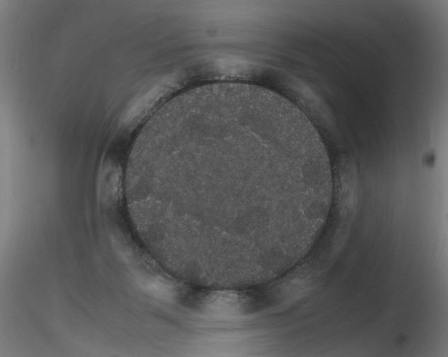 X0000116120123201001040958