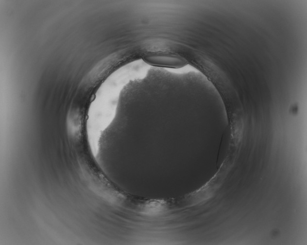 X0000116120124201001040958