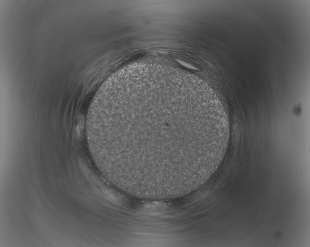 X0000116120125201001040958