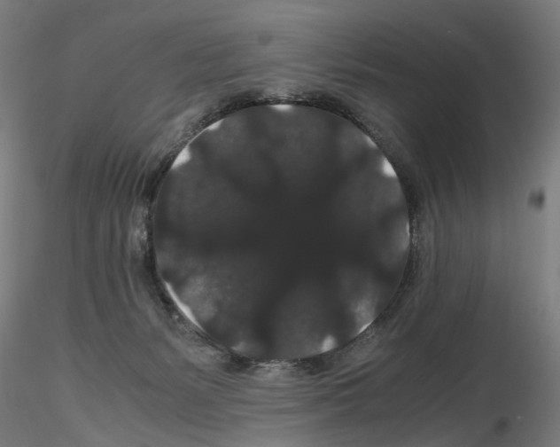 X0000116120127201001040958