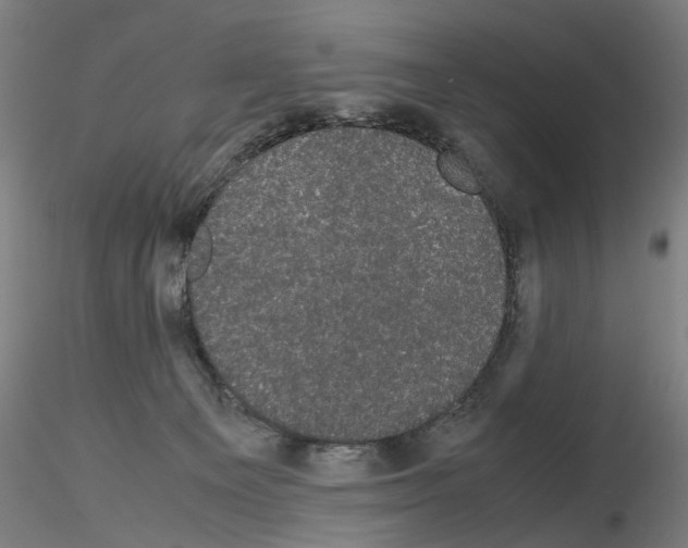 X0000116120129201001040958