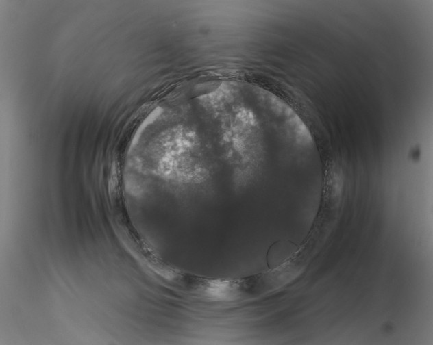 X0000116120130201001040958