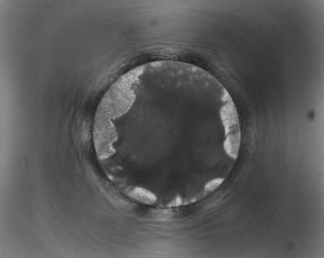 X0000116120131201001040958