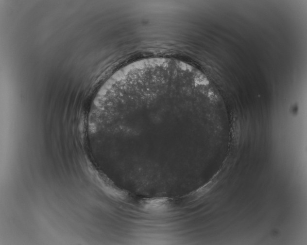 X0000116120132201001040958