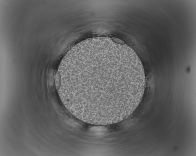 X0000116120133201001040958