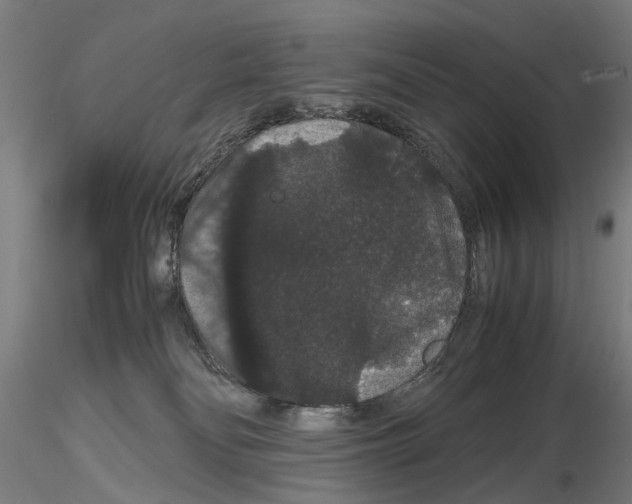 X0000116120134201001040958