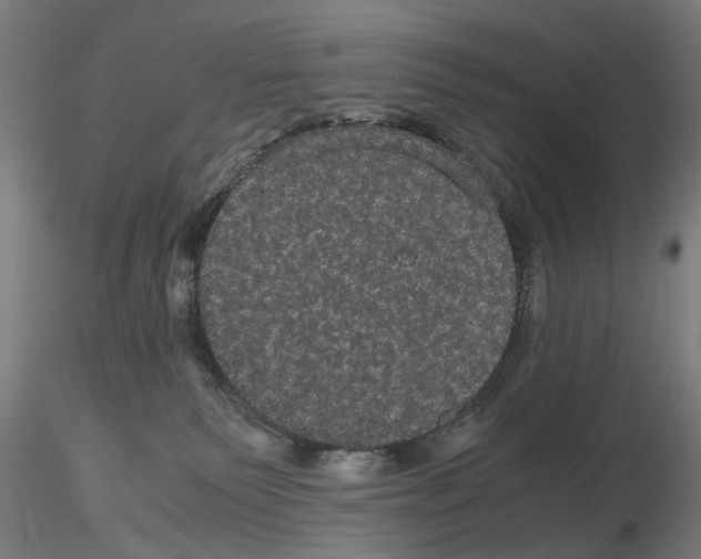 X0000116120135201001040958