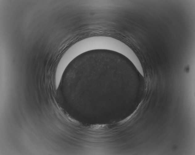 X0000116120136201001040958
