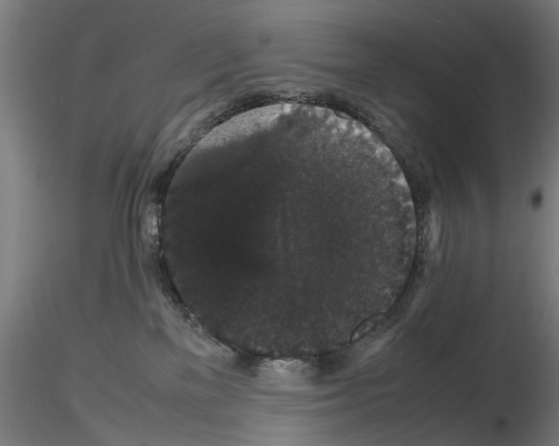 X0000116120137201001040958