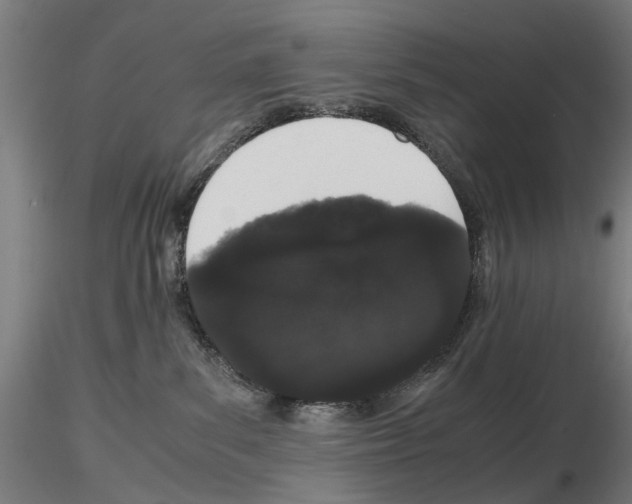 X0000116120139201001040958