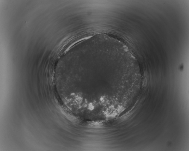 X0000116120140201001040958