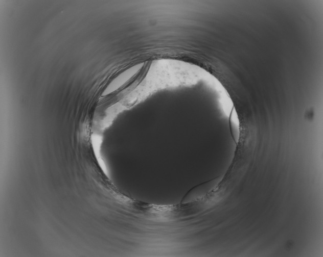 X0000116120143201001040958