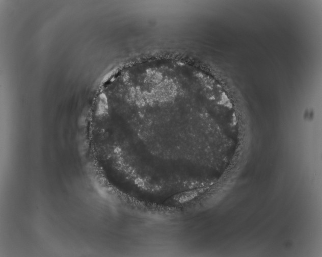 X0000116120144201001040958
