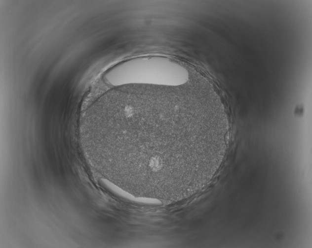 X0000116120146201001040957