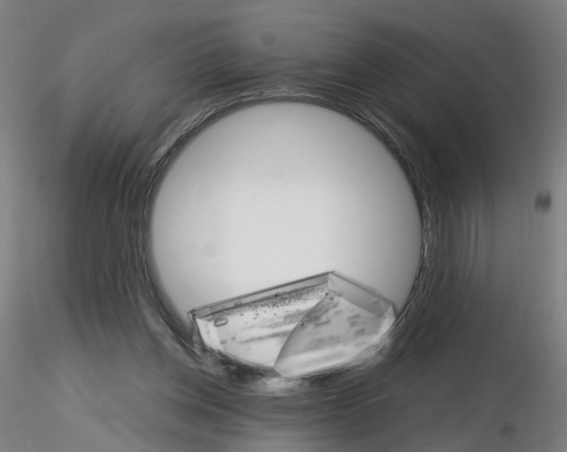 X0000116120158201001040958