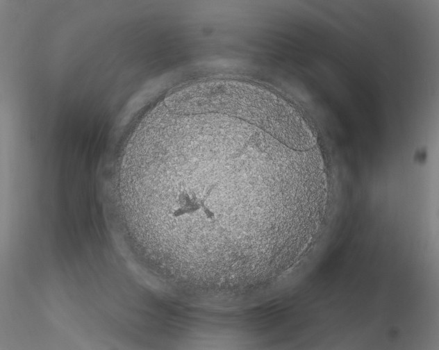 X0000116120162201001040958