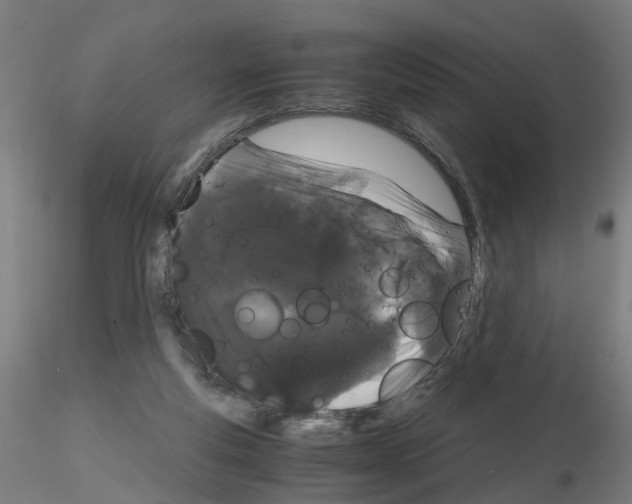X0000116120163201001040958