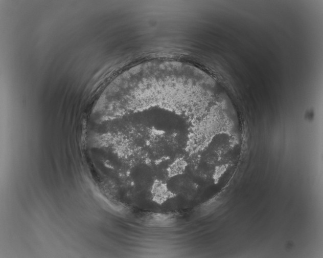 X0000116120166201001040958