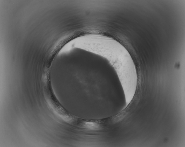 X0000116120167201001040958