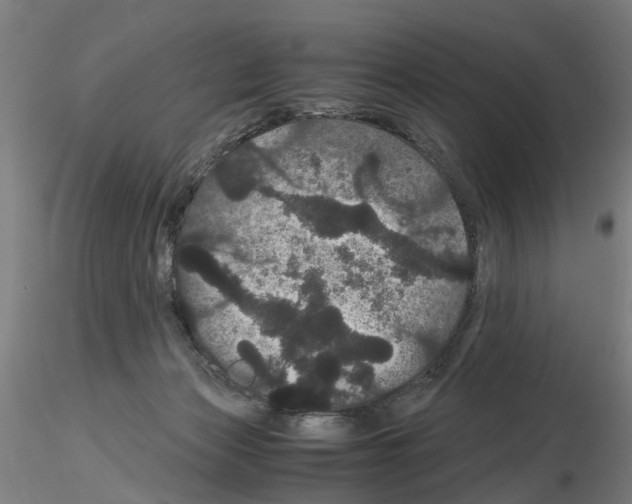 X0000116120173201001040958