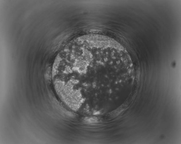 X0000116120181201001040958
