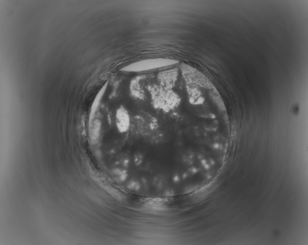 X0000116120182201001040958