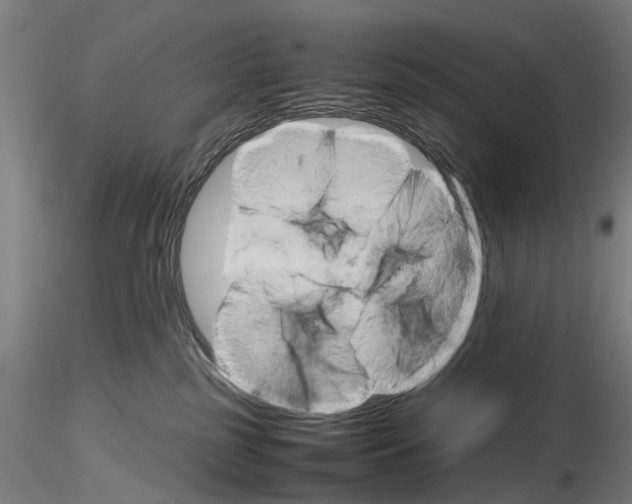 X0000116120185201001040958