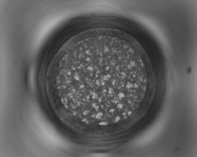 X0000116120189201001040958
