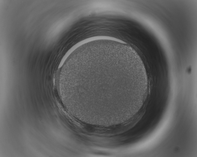 X0000116120190201001040958