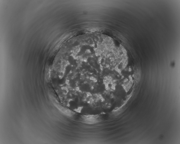 X0000116120191201001040958