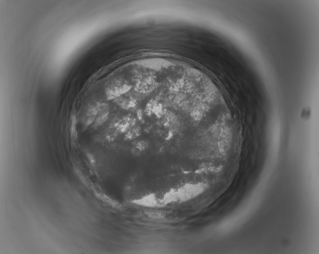 X0000116120194201001040957