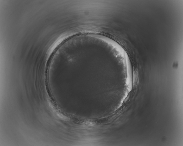 X0000116120195201001040957